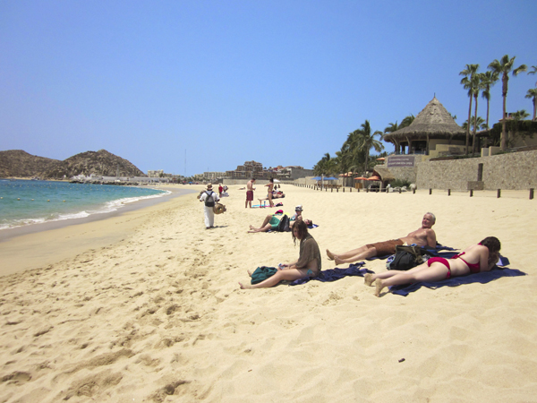 Cruise Web (153f) copy