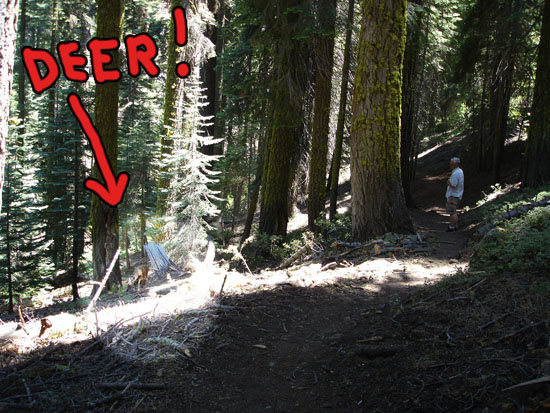 Vacation 2007 (182) copy