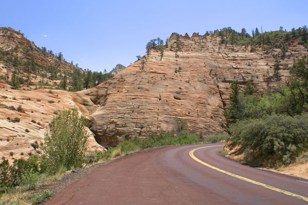 New Mexico (2815a) copy