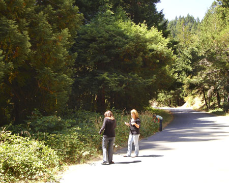 Cal-Oregon (1038a) copy