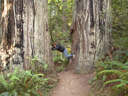 Cal-Oregon (1426) copy