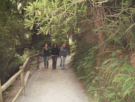 Cal-Oregon (1444) copy