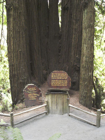 Cal-Oregon (1446) copy