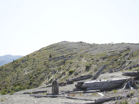 Cal-Oregon (1785) copy