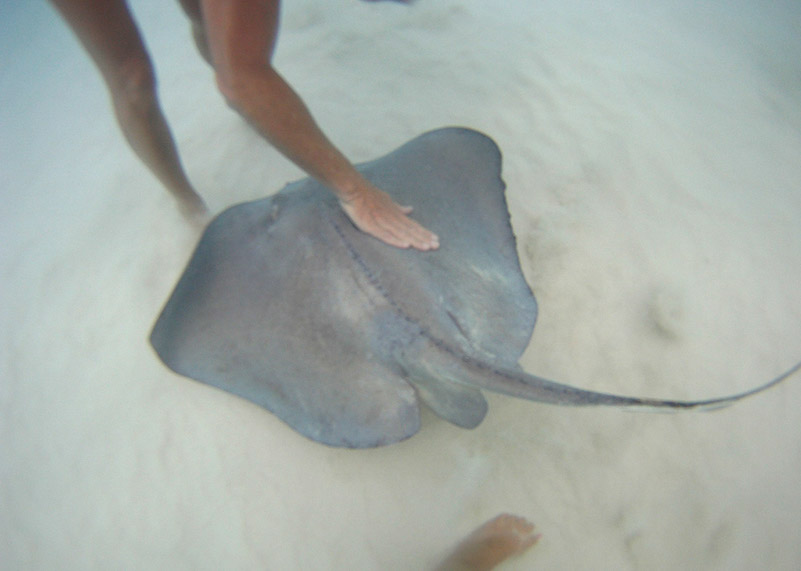 %_tempFileNameCaribbean%20180%