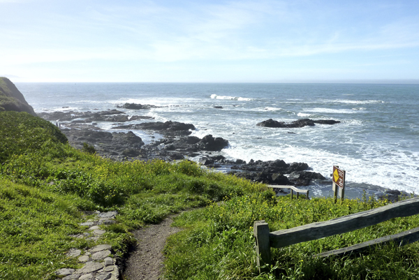 Shelter Cove 153 copy