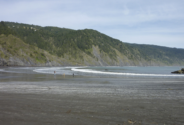 Shelter Cove 194 copy