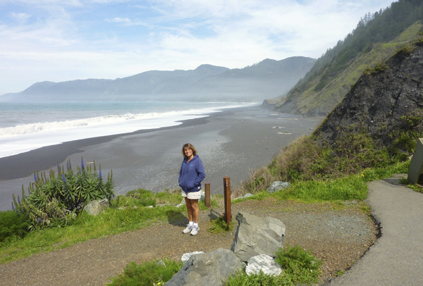 Shelter Cove 196 copy